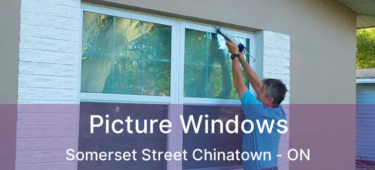  Picture Windows Somerset Street Chinatown - ON