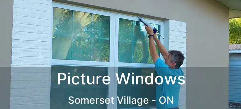  Picture Windows Somerset Village - ON