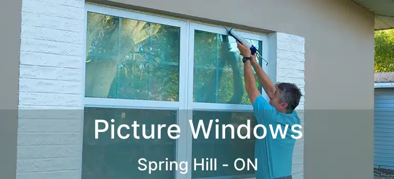  Picture Windows Spring Hill - ON