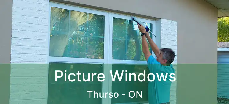  Picture Windows Thurso - ON