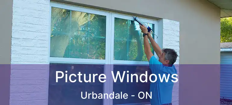  Picture Windows Urbandale - ON