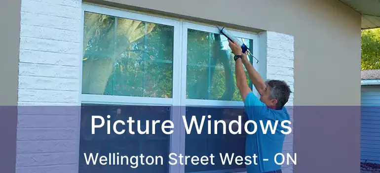  Picture Windows Wellington Street West - ON