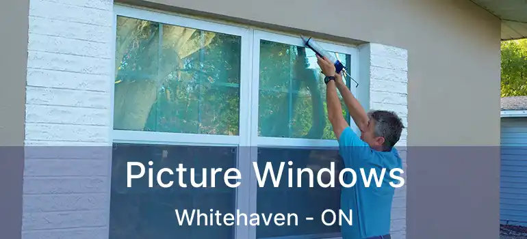  Picture Windows Whitehaven - ON