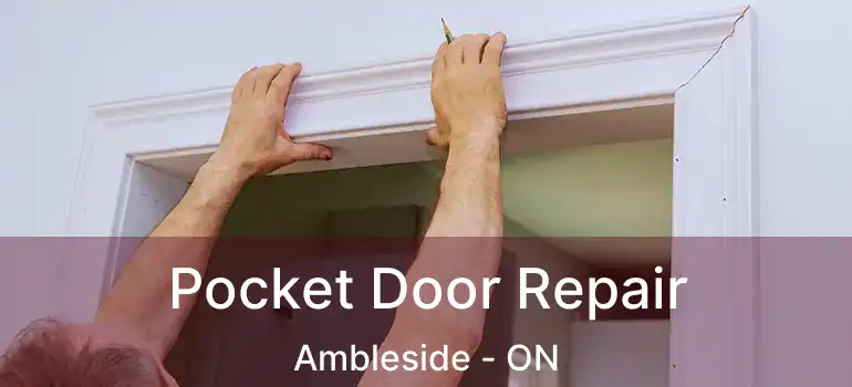  Pocket Door Repair Ambleside - ON