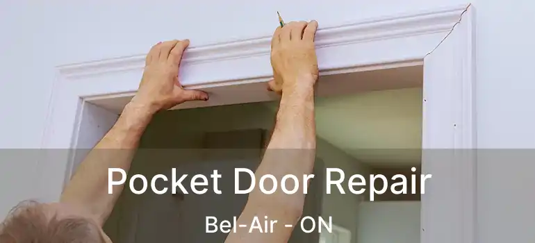  Pocket Door Repair Bel-Air - ON