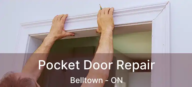  Pocket Door Repair Belltown - ON