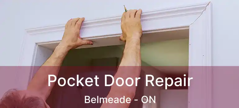  Pocket Door Repair Belmeade - ON