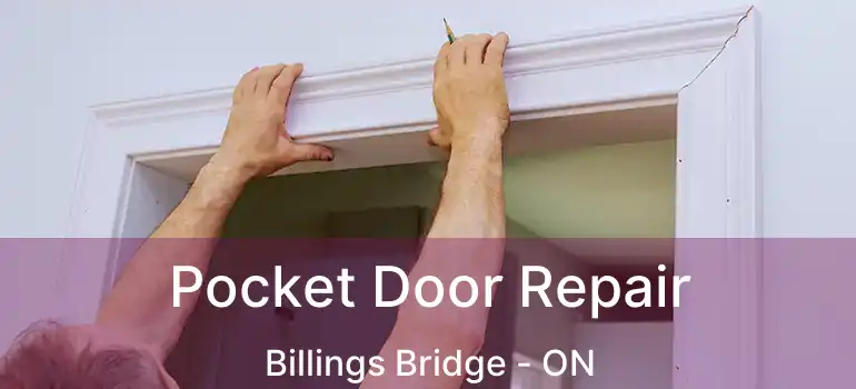  Pocket Door Repair Billings Bridge - ON