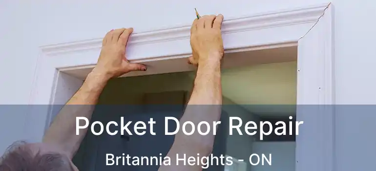  Pocket Door Repair Britannia Heights - ON