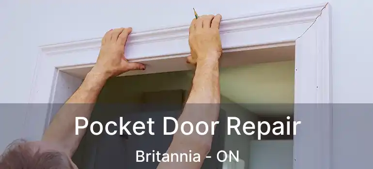  Pocket Door Repair Britannia - ON