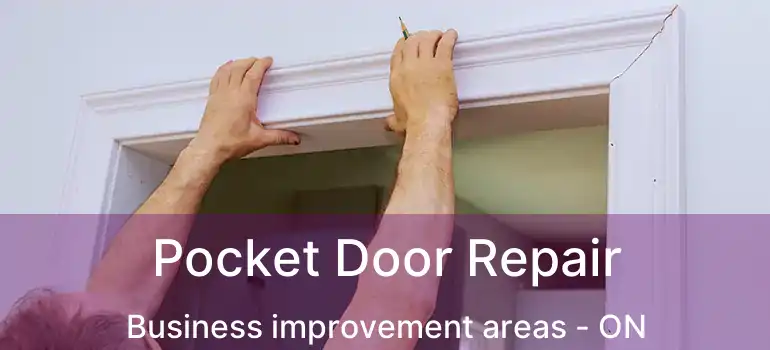  Pocket Door Repair Business improvement areas - ON