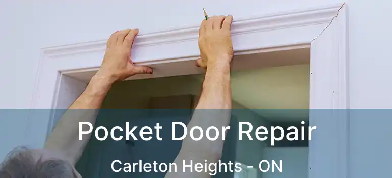  Pocket Door Repair Carleton Heights - ON