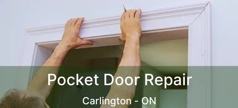  Pocket Door Repair Carlington - ON