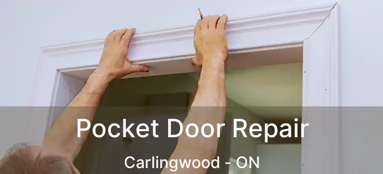  Pocket Door Repair Carlingwood - ON