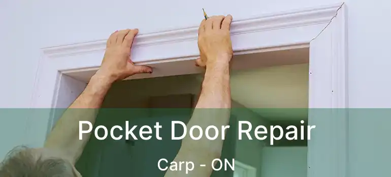  Pocket Door Repair Carp - ON