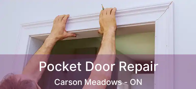  Pocket Door Repair Carson Meadows - ON