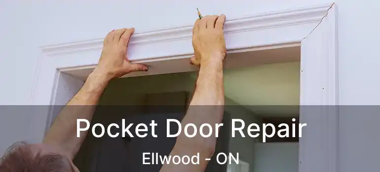  Pocket Door Repair Ellwood - ON