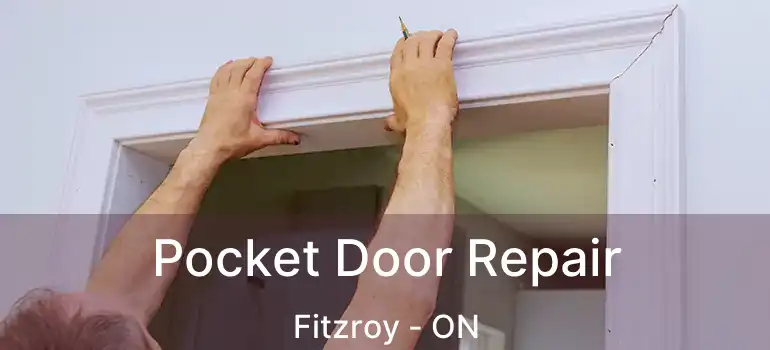  Pocket Door Repair Fitzroy - ON