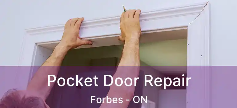  Pocket Door Repair Forbes - ON