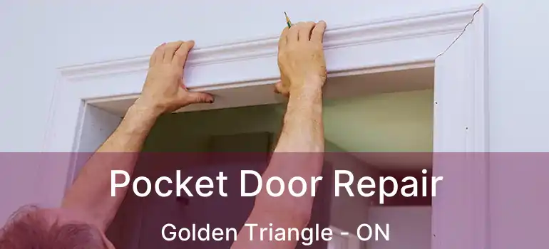  Pocket Door Repair Golden Triangle - ON