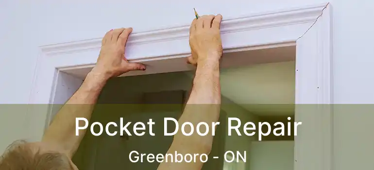  Pocket Door Repair Greenboro - ON