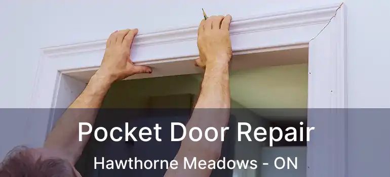  Pocket Door Repair Hawthorne Meadows - ON