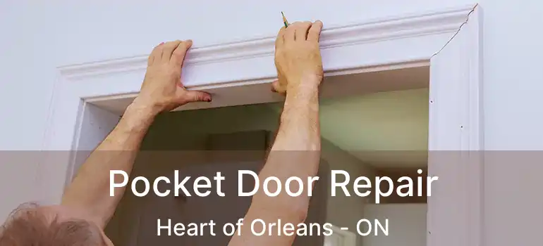  Pocket Door Repair Heart of Orleans - ON