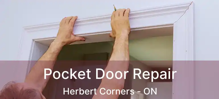  Pocket Door Repair Herbert Corners - ON