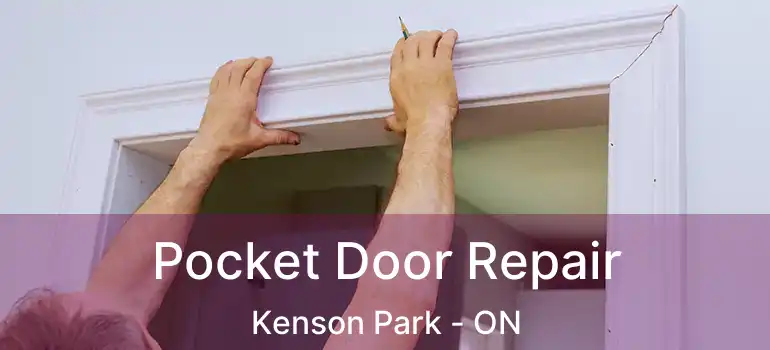  Pocket Door Repair Kenson Park - ON