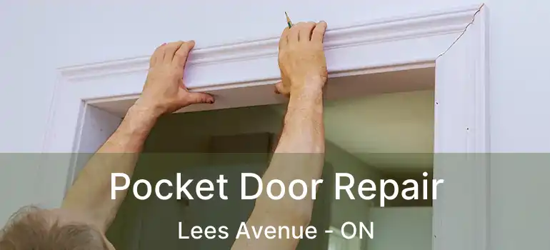  Pocket Door Repair Lees Avenue - ON