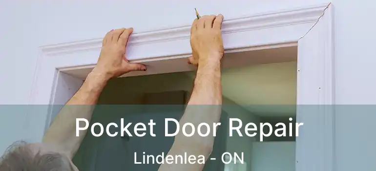  Pocket Door Repair Lindenlea - ON