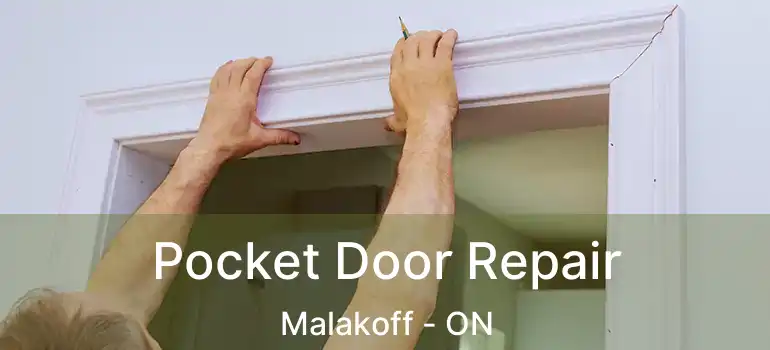  Pocket Door Repair Malakoff - ON