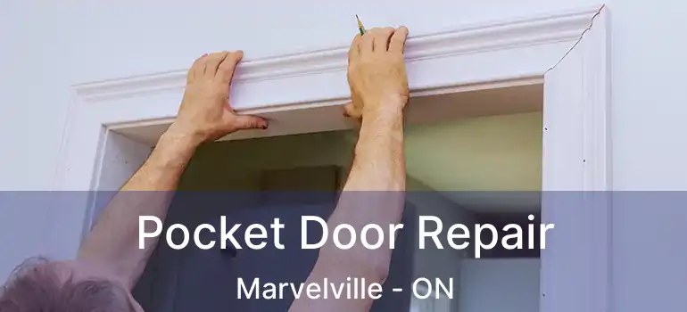  Pocket Door Repair Marvelville - ON