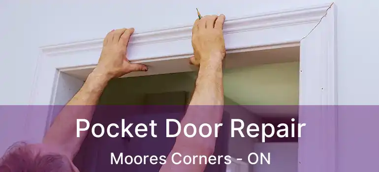  Pocket Door Repair Moores Corners - ON