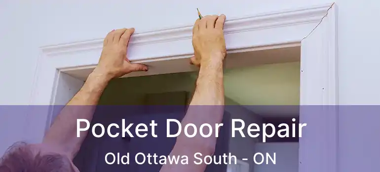  Pocket Door Repair Old Ottawa South - ON