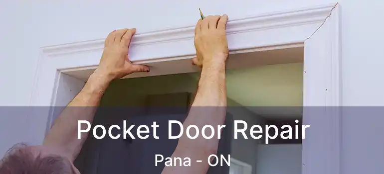  Pocket Door Repair Pana - ON