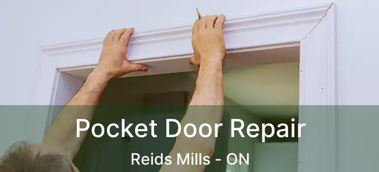  Pocket Door Repair Reids Mills - ON