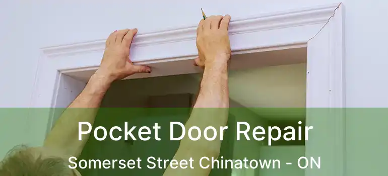  Pocket Door Repair Somerset Street Chinatown - ON