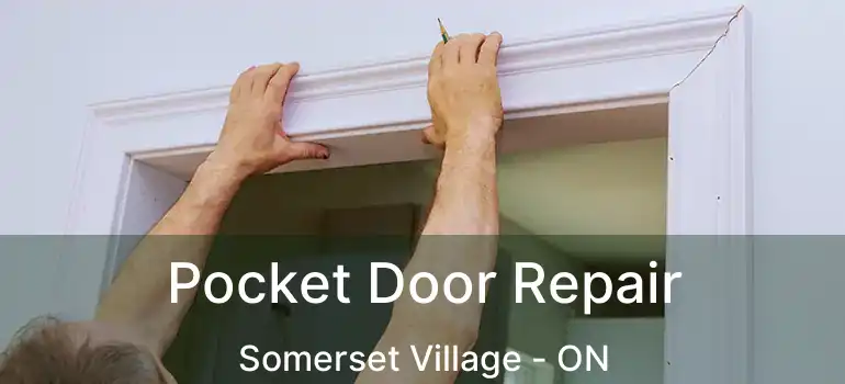  Pocket Door Repair Somerset Village - ON