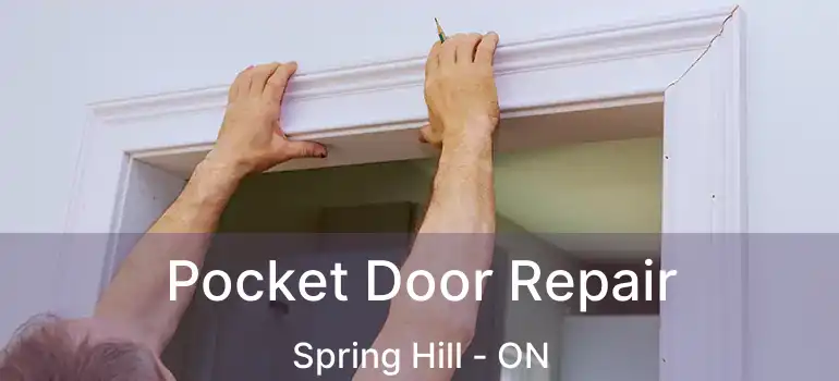  Pocket Door Repair Spring Hill - ON