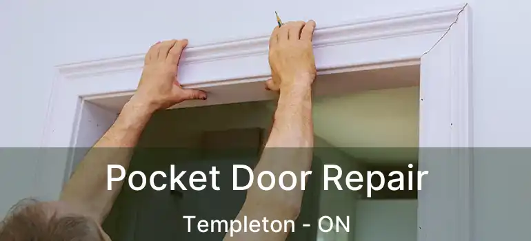  Pocket Door Repair Templeton - ON