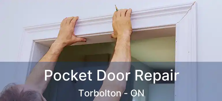  Pocket Door Repair Torbolton - ON