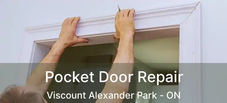  Pocket Door Repair Viscount Alexander Park - ON