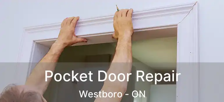  Pocket Door Repair Westboro - ON