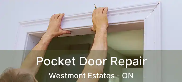  Pocket Door Repair Westmont Estates - ON