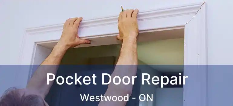  Pocket Door Repair Westwood - ON