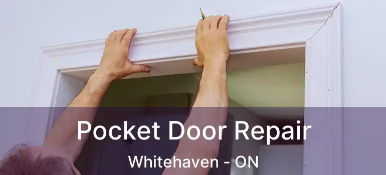  Pocket Door Repair Whitehaven - ON