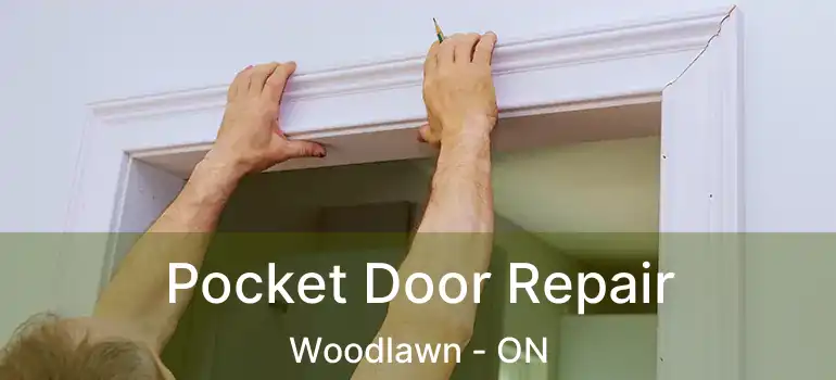  Pocket Door Repair Woodlawn - ON