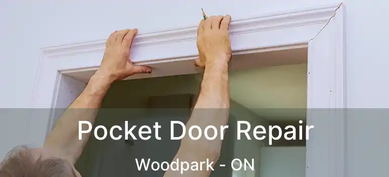  Pocket Door Repair Woodpark - ON