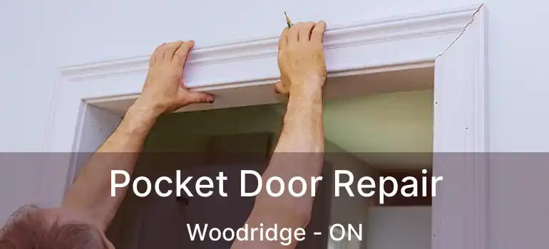  Pocket Door Repair Woodridge - ON